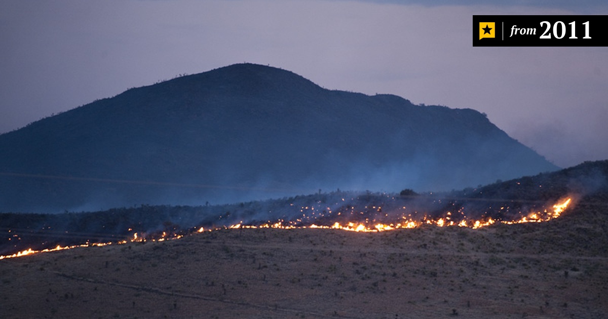 Drought Could Keep Texas Wildfires Blazing Until Summer The Texas Tribune